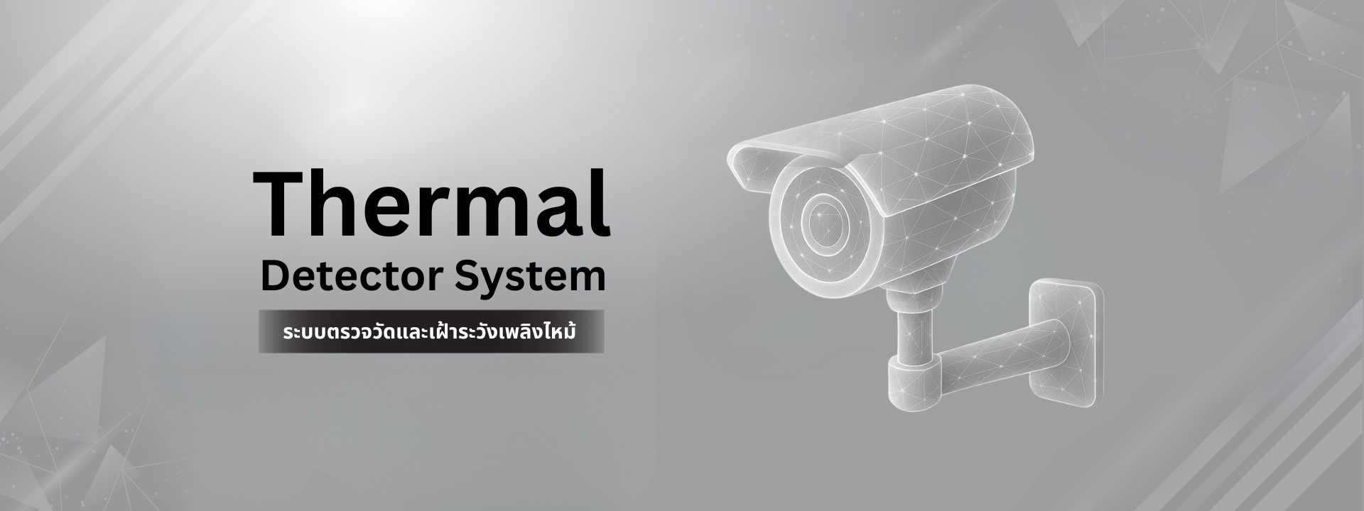 Thermal Detector System